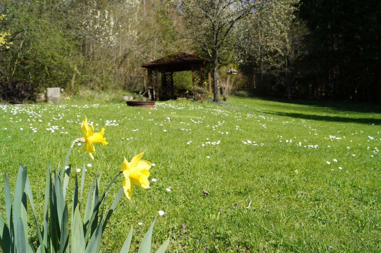 Ferienwohnung Am Irrenbachle Albstadt Exterior foto